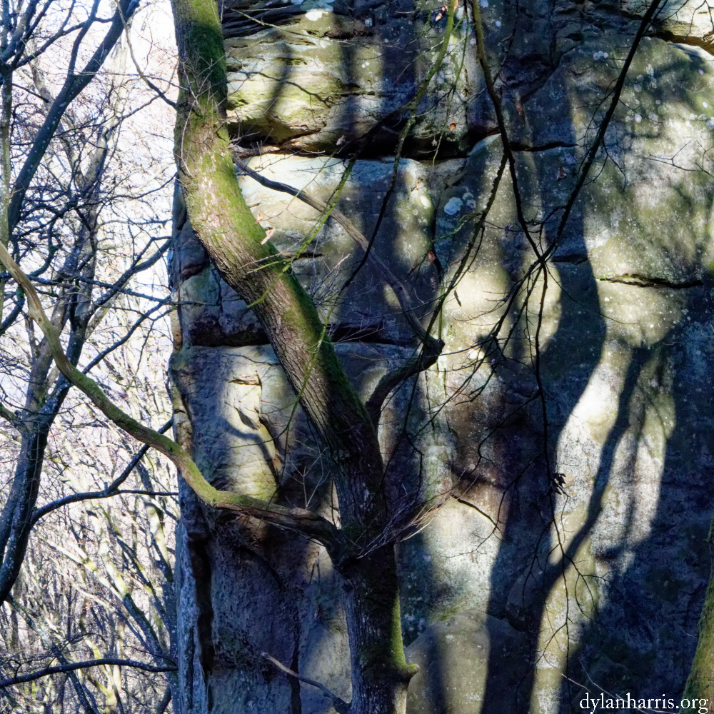 image: This is &lsquo;mullerthal (vi) 5&rsquo;.