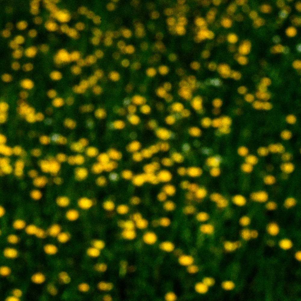 image: This is &lsquo;rumelange (xxxiii) 1&rsquo;.