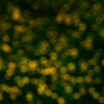 image: Image from the photoset &lsquo;rumelange (xxxiii)&rsquo;.