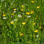 image: Image from the photoset &lsquo;rumelange (xxxiii)&rsquo;.