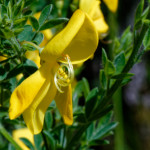 image: Image from the photoset &lsquo;rumelange (xxxiii)&rsquo;.