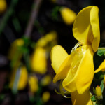 image: Image from the photoset &lsquo;rumelange (xxxiii)&rsquo;.