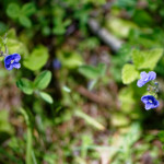 image: Image from the photoset &lsquo;rumelange (xxxiii)&rsquo;.