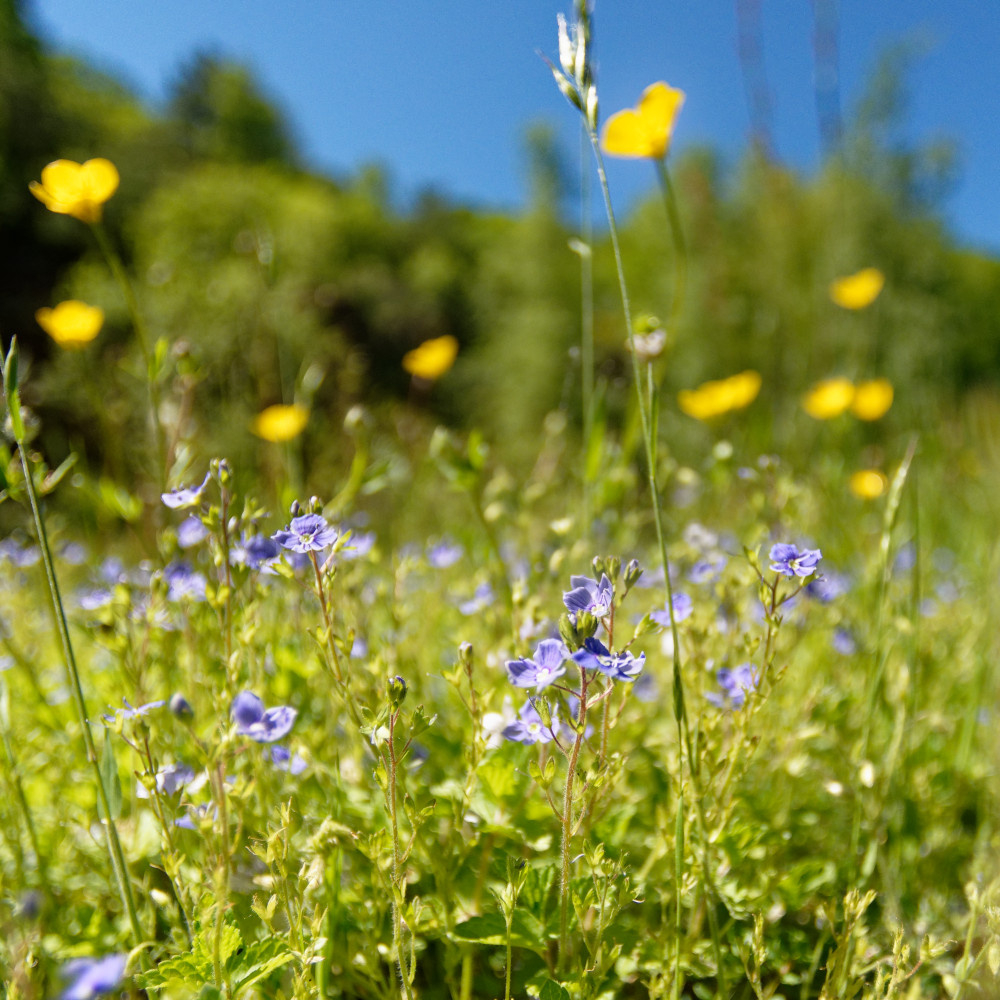 image: This is &lsquo;rumelange (xxxiv) 4&rsquo;.