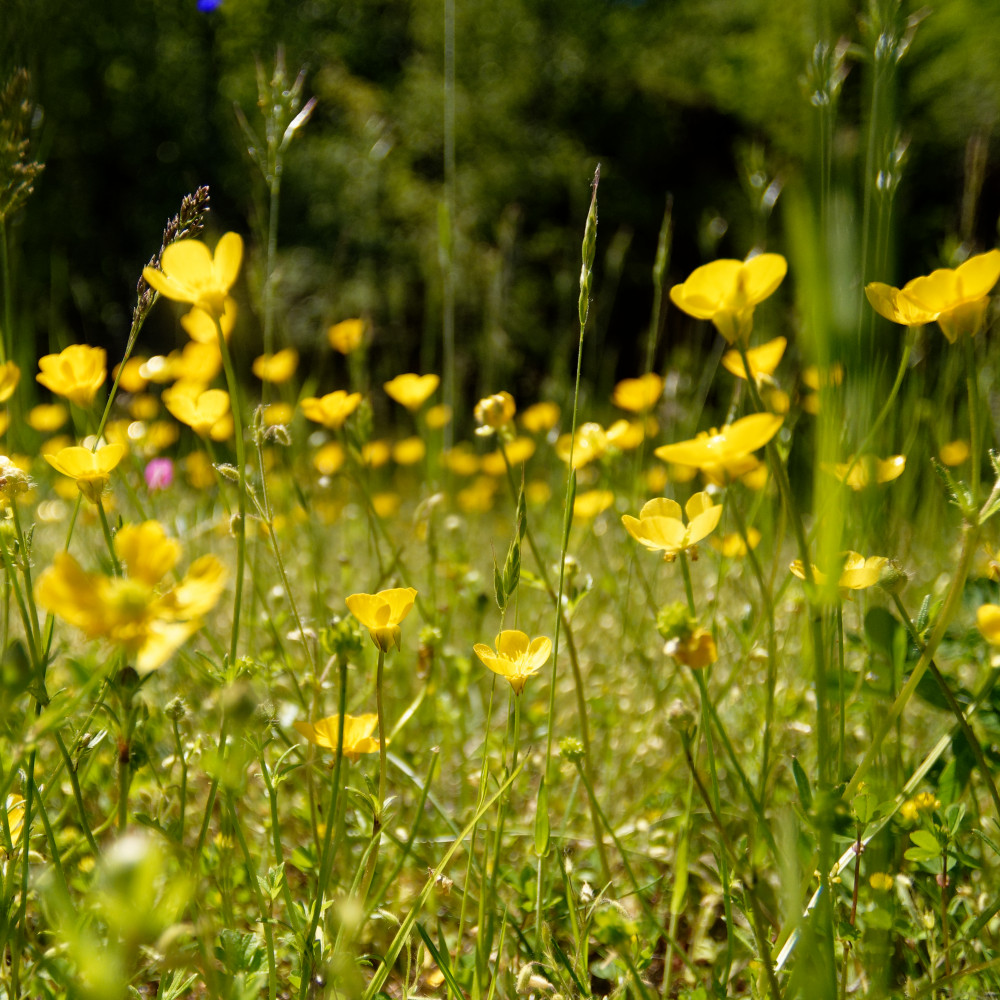 image: This is &lsquo;rumelange (xxxiv) 6&rsquo;.