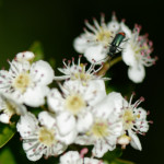 image: Image from the photoset &lsquo;rumelange (xxxiv)&rsquo;.