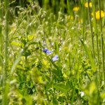 image: Image from the photoset &lsquo;rumelange (xxxiv)&rsquo;.