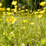 image: Image from the photoset &lsquo;rumelange (xxxiv)&rsquo;.