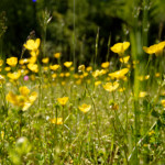 image: Image from the photoset &lsquo;rumelange (xxxiv)&rsquo;.