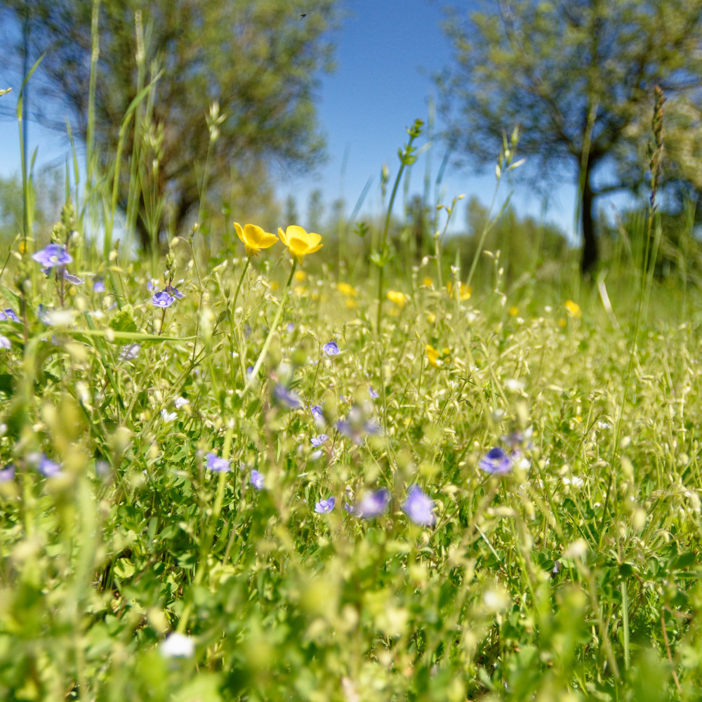 image: This is &lsquo;rumelange (xxxv) 3&rsquo;.