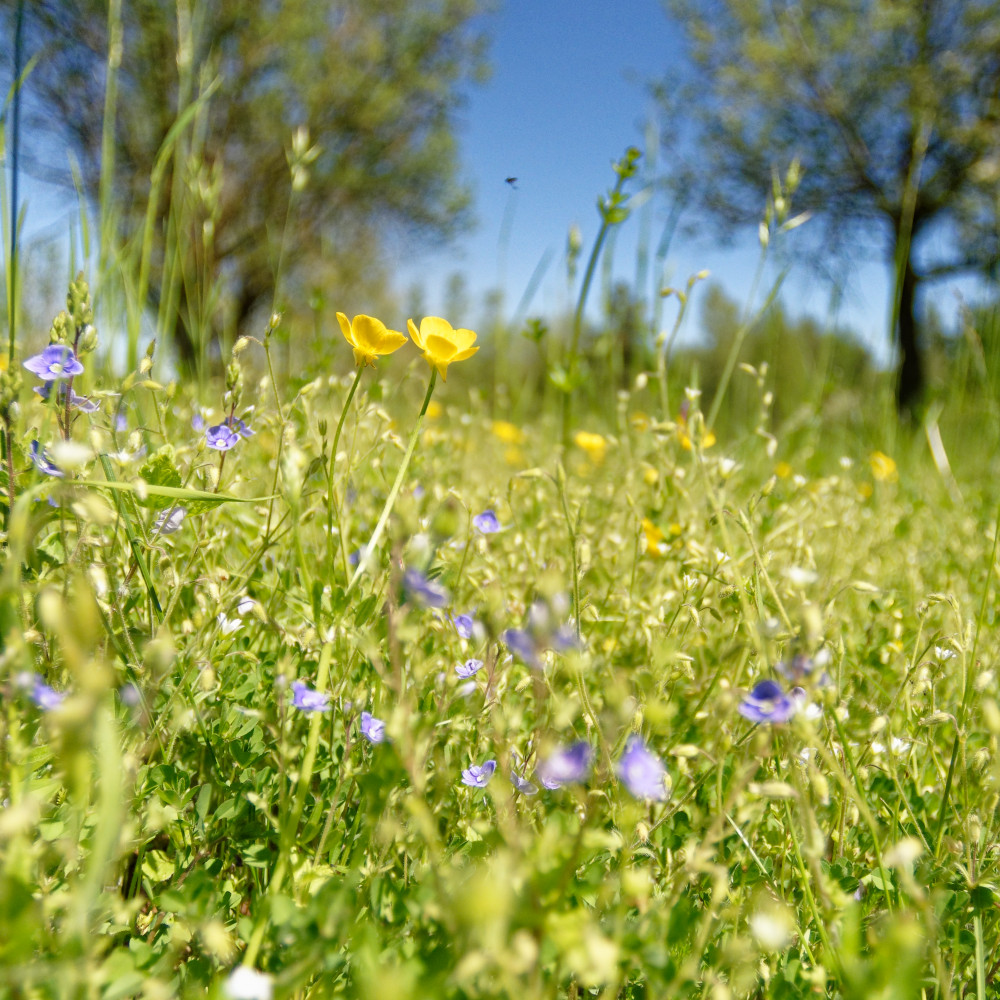 image: This is &lsquo;rumelange (xxxv) 4&rsquo;.