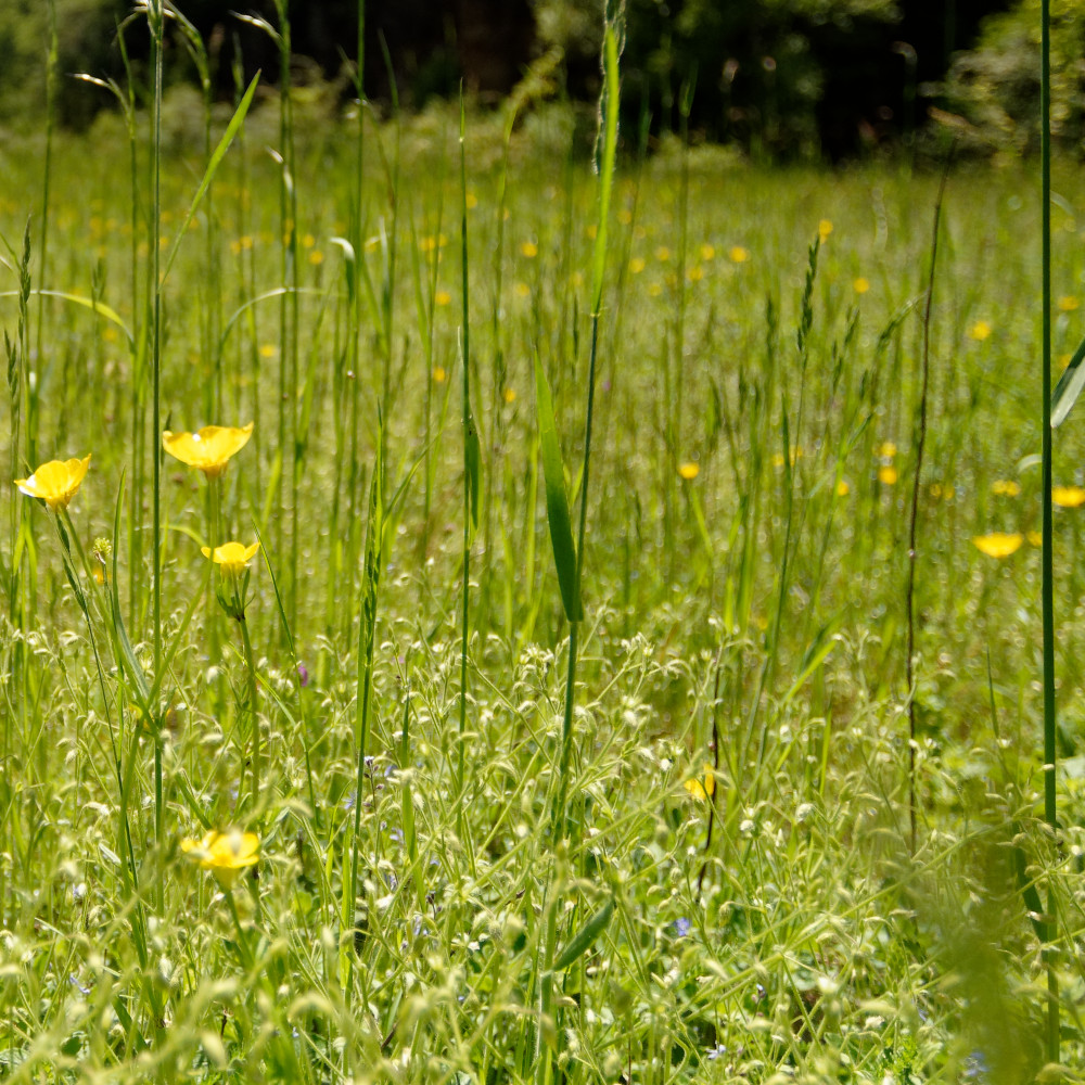 image: This is &lsquo;rumelange (xxxv) 6&rsquo;.