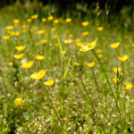 image: Image from the photoset &lsquo;rumelange (xxxv)&rsquo;.