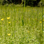 image: Image from the photoset &lsquo;rumelange (xxxv)&rsquo;.