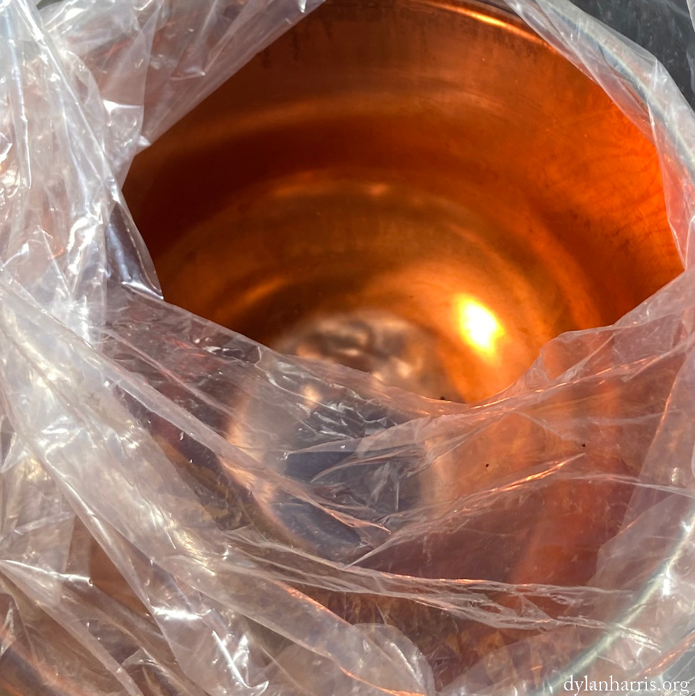 image: This is &lsquo;cheni&agrave;res 4&rsquo;.