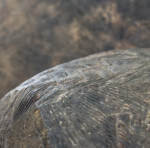 image: Image from the photoset &lsquo;nothing is permament (iv)&rsquo;.