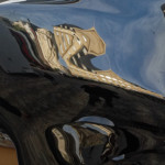 image: Image from the photoset &lsquo;nothing is permament (xx)&rsquo;.