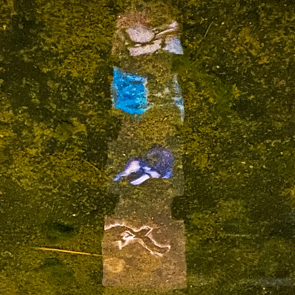 image: This is &lsquo;nuit de la culture 7&rsquo;.