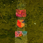 image: Image from the photoset &lsquo;nuit de la culture&rsquo;.