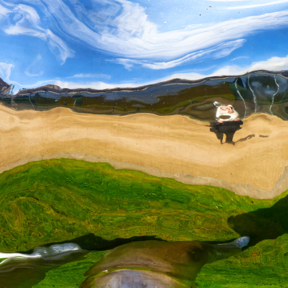 image: This is &lsquo;yorkshire (xvi) 6&rsquo;.