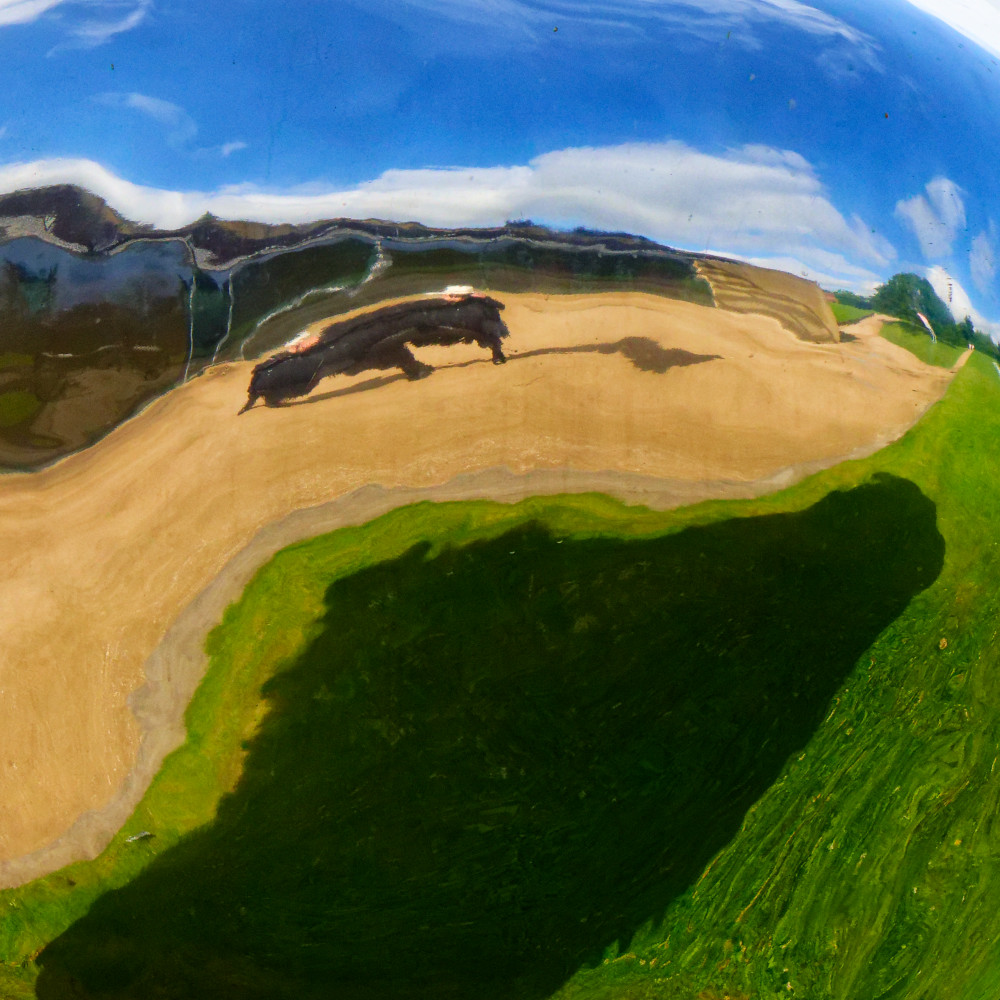 image: This is &lsquo;yorkshire (xvi) 7&rsquo;.