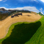 image: Image from the photoset &lsquo;yorkshire (xvi)&rsquo;.