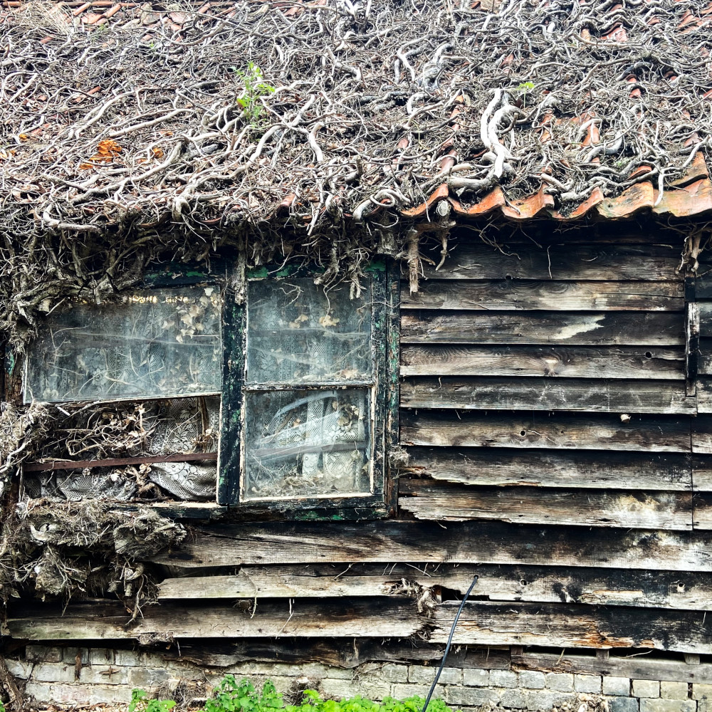 image: This is &lsquo;untitled (xlvi) 3&rsquo;.