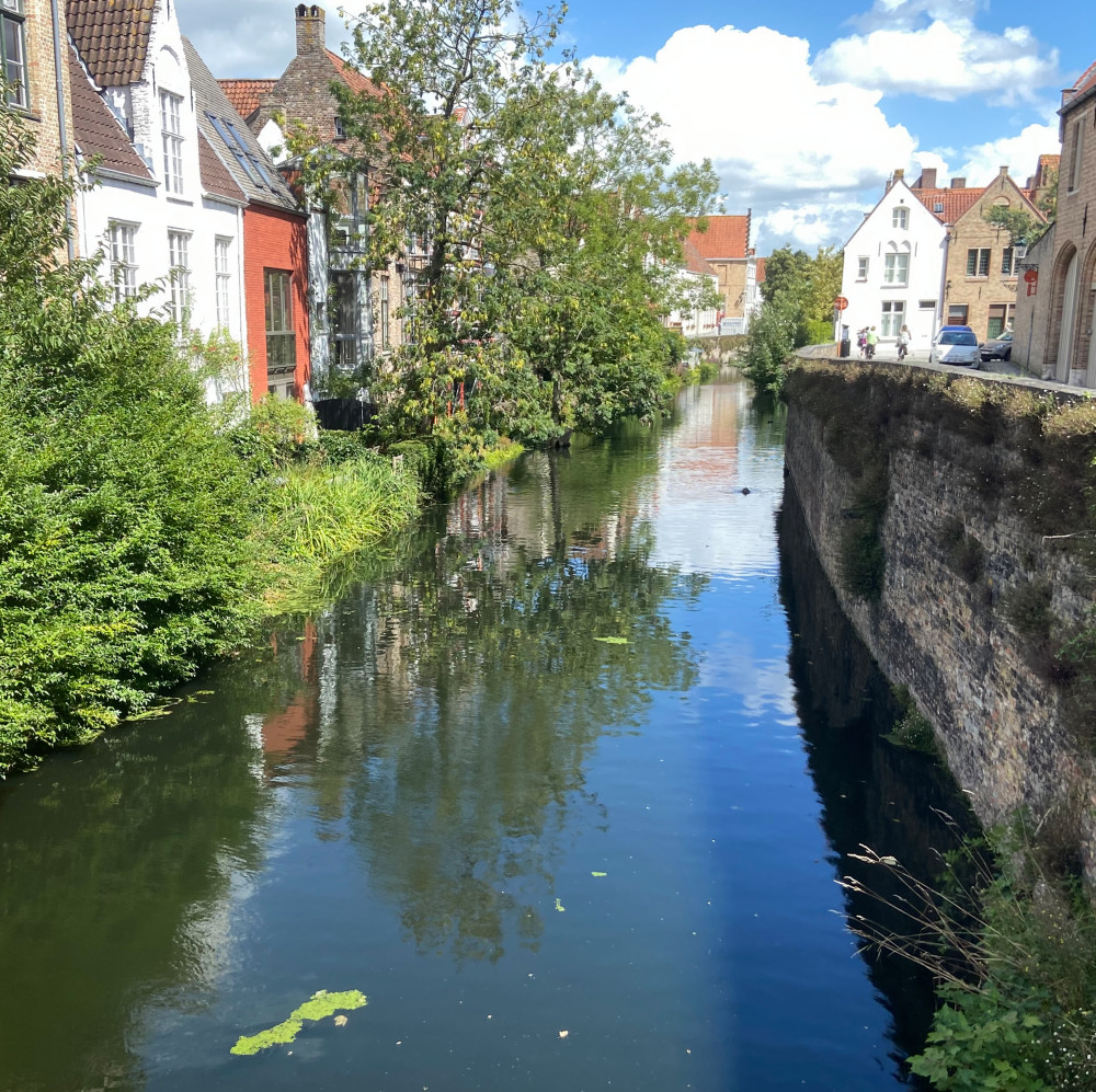 image: This is &lsquo;flanders 2&rsquo;.