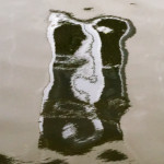 image: Image from the photoset &lsquo;brugge (vii)&rsquo;.