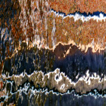 image: Image from the photoset &lsquo;brugge (x)&rsquo;.