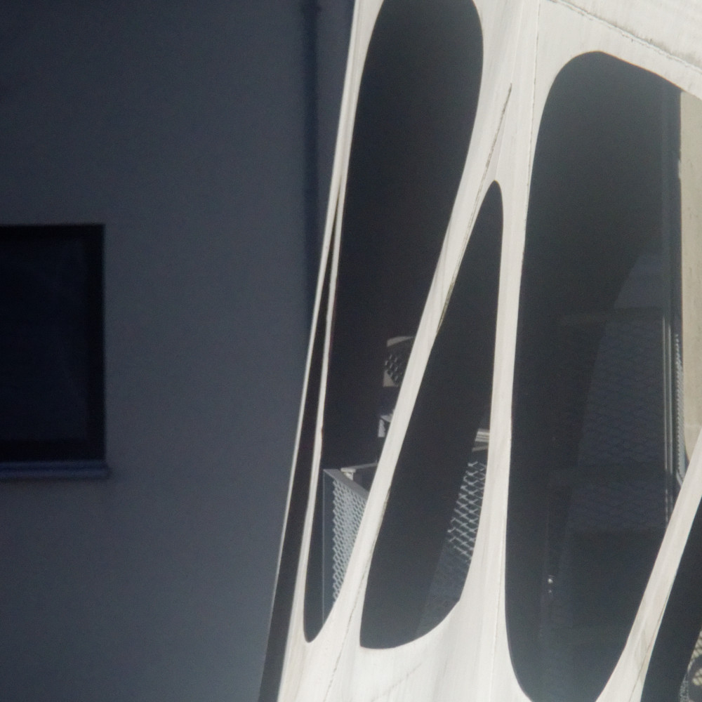 image: This is &lsquo;esch/uelzecht (xxxviii) 2&rsquo;.