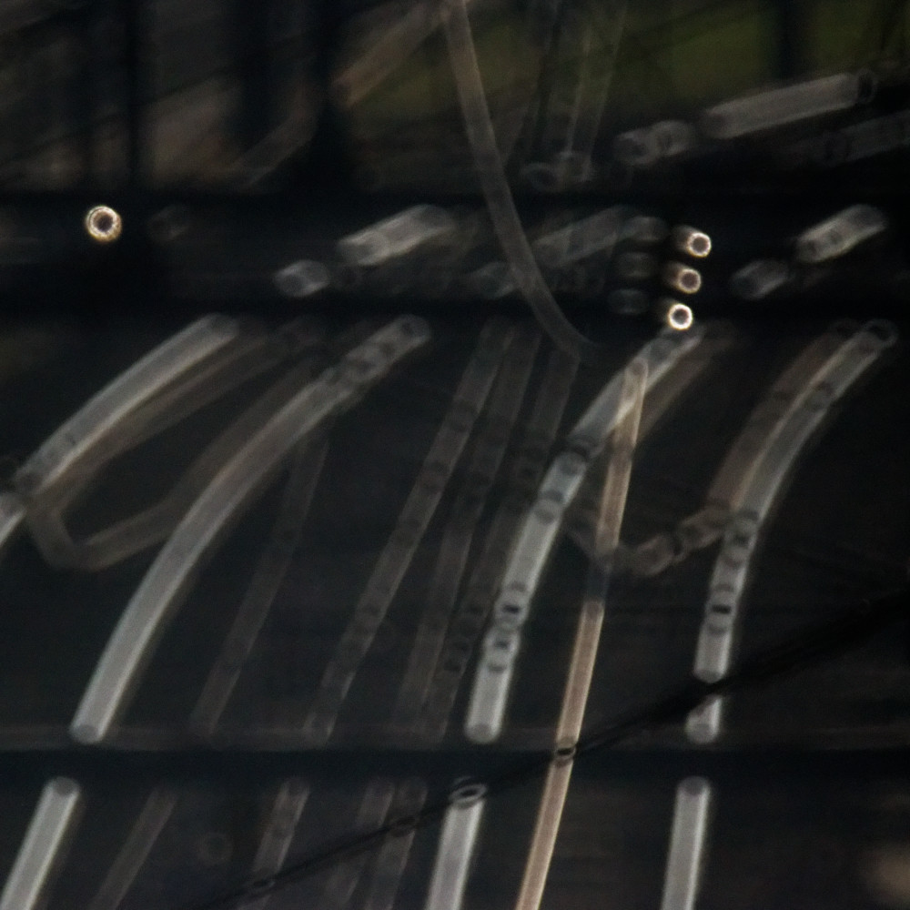 image: This is &lsquo;esch/uelzecht (xxxviii) 4&rsquo;.