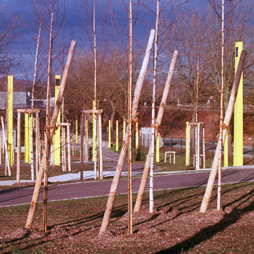 image: This is &lsquo;esch/uelzecht (xxxix) 3&rsquo;.