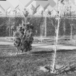 image: Image from the photoset &lsquo;damage (cccxxvi)&rsquo;.