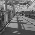 image: Image from the photoset &lsquo;damage (cccxxvi)&rsquo;.