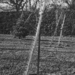 image: Image from the photoset &lsquo;damage (cccxxvi)&rsquo;.