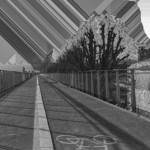 image: Image from the photoset &lsquo;damage (cccxxvii)&rsquo;.