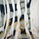 image: Image from the photoset &lsquo;la d&eacute;fense (lxxv)&rsquo;.