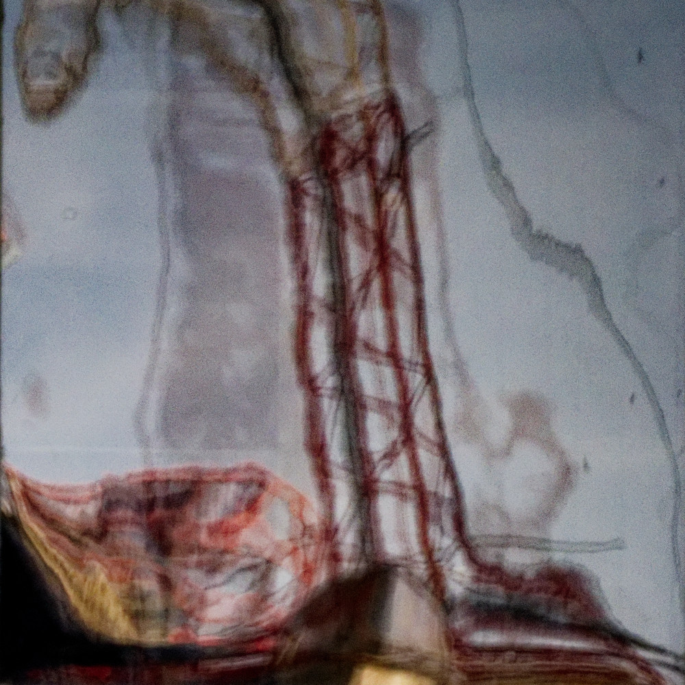 image: This is &lsquo;la d&eacute;fense (lxxviii) 3&rsquo;.