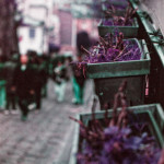 image: Image from the photoset &lsquo;montmartre (xvi)&rsquo;.