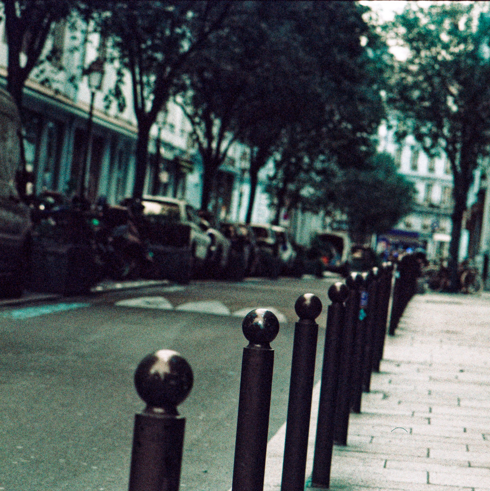 image: This is &lsquo;paris (xix) 1&rsquo;.