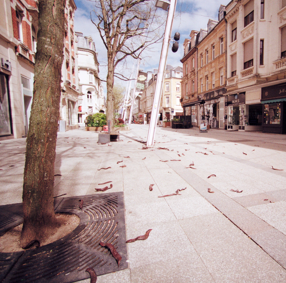 image: This is &lsquo;esch/uelzecht (xli) 3&rsquo;.