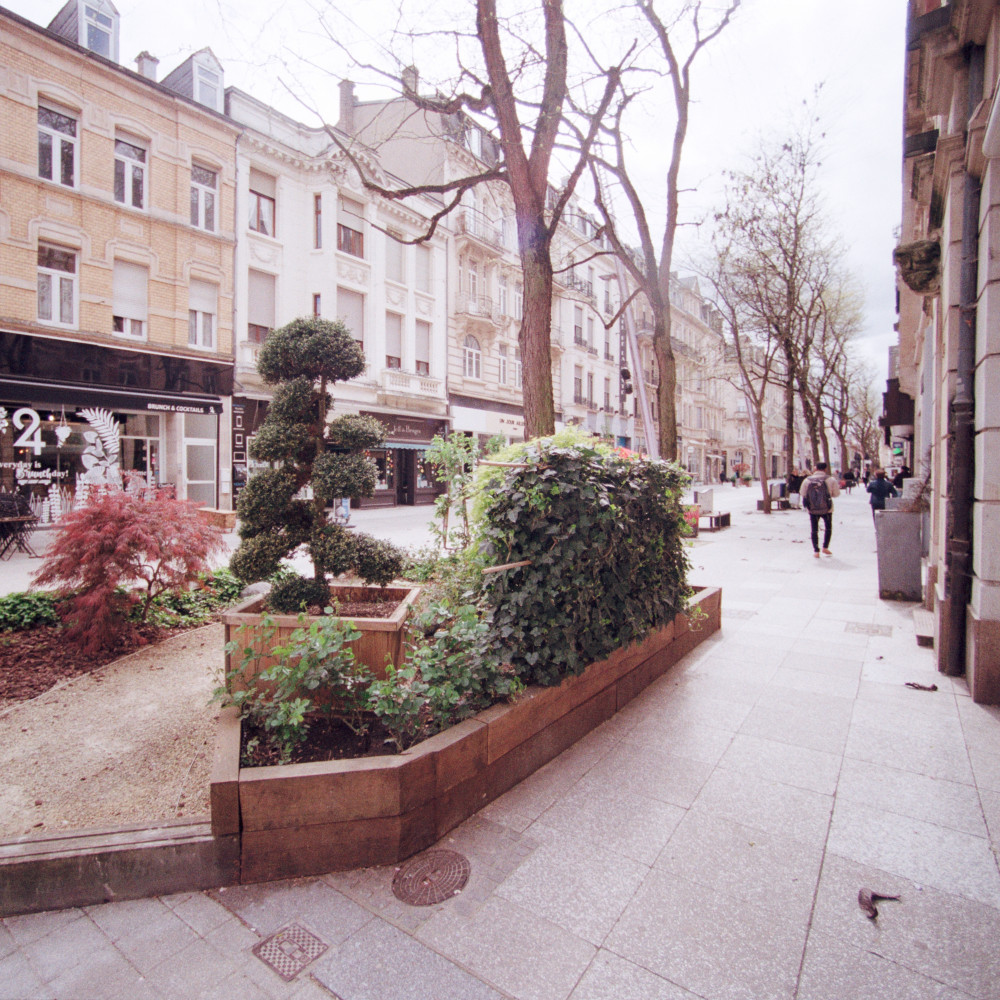 image: This is &lsquo;esch/uelzecht (xli) 4&rsquo;.