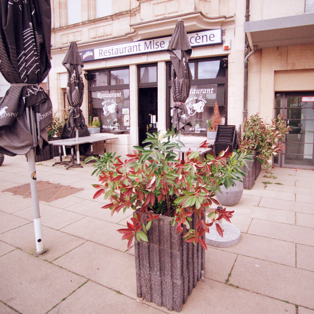 image: This is &lsquo;esch/uelzecht (xli) 7&rsquo;.