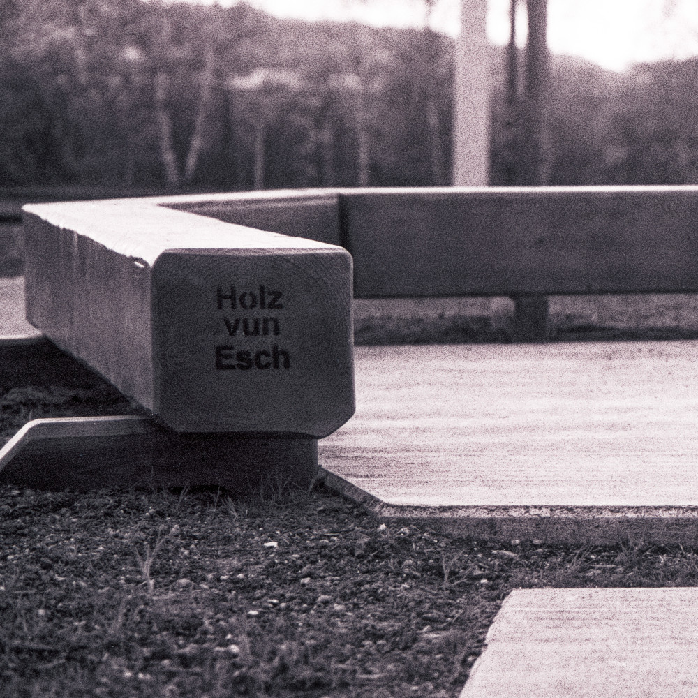 image: This is &lsquo;esch/uelzecht (xlii) 1&rsquo;.