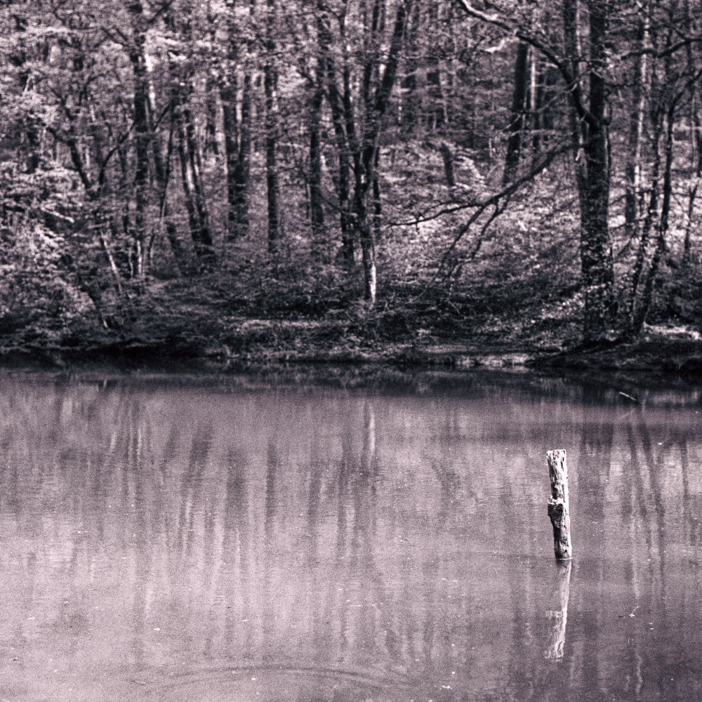 image: This is &lsquo;terres rouges (xxiv) 2&rsquo;.