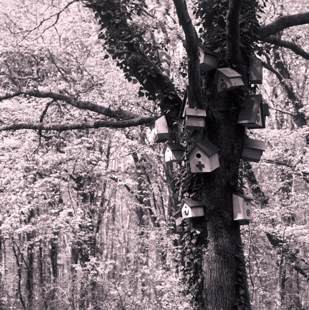 image: This is &lsquo;terres rouges (xxiv) 3&rsquo;.