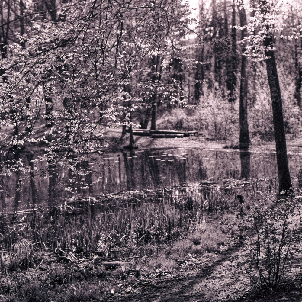 image: This is &lsquo;terres rouges (xxiv) 5&rsquo;.