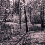 image: terres rouges