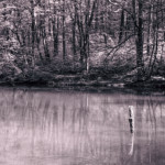 image: Image from the photoset &lsquo;terres rouges (xxiv)&rsquo;.